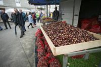El truco para hacer castañas en casa fácilmente y sin apenas manchar con una freidora de aire
