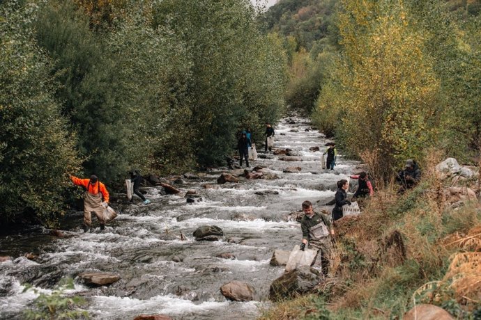 Voluntarios limpiando el lecho del Noguera Pallaresa.