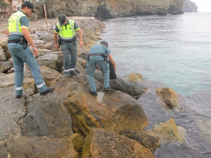 Agentes devuelven al mar las anémonas de mar capturadas ilegalmente en una playa de Motril (Granada).