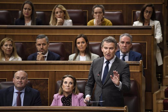 El presidente del PP, Alberto Núñez Feijóo, interviene durante una sesión de control al Gobierno, en el Congreso de los Diputados, a 16 de octubre de 2024, en Madrid (España).