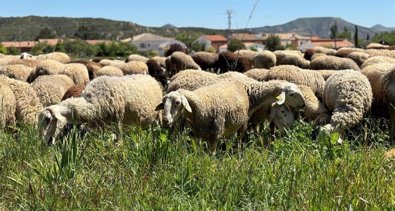 Castilla-La Mancha