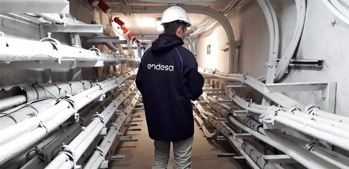 Un trabajador de Endesa.