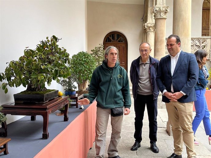 Exposición de Bonsáis en el palacio de La Salina, sede de la Diputación de Salamanca.