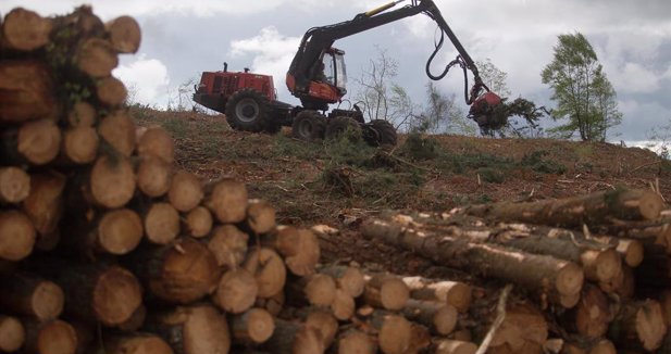 Galicia Rural