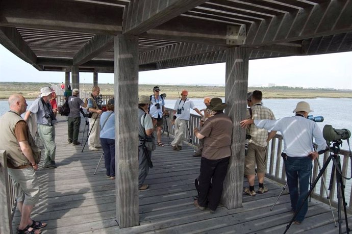 Un grupo de personas en una actividad de avistamiento de aves en Tarifa.