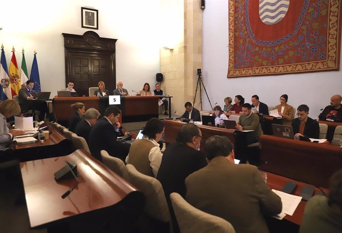 Pleno municipal en el Ayuntamiento de Jerez.