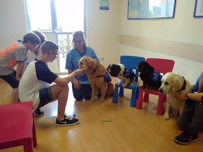 Archivo - Terapia con perros de asistencia en niños con síndrome alcohólico fetal