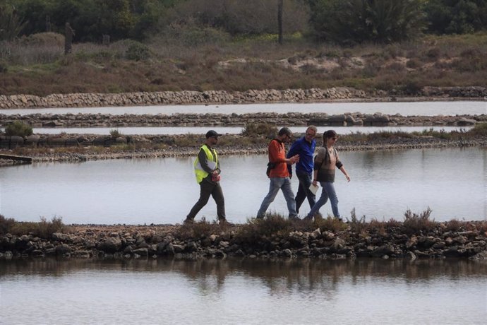 Archivo - Las balsas de las Salinas de Marchamalo