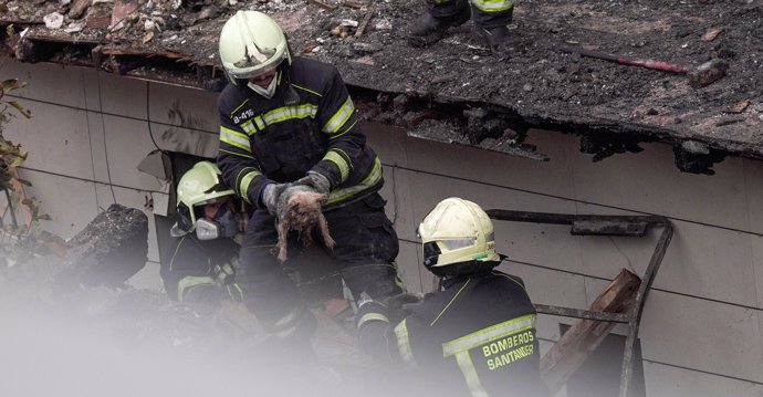 Bomberos rescatan un perro en el edificio derrumbado en La Albericia