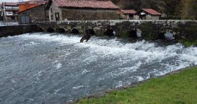 Cantabria Infinita