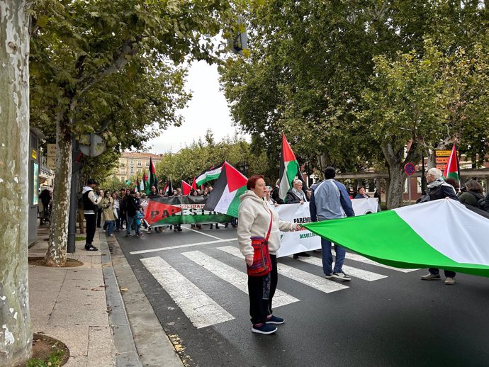 Manifestación por las calles de Logroño