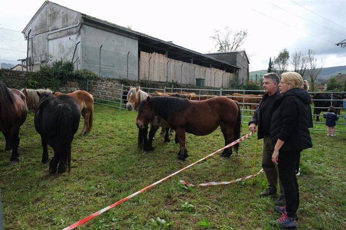 La consejera de Desarrollo Rural, Ganadería, Pesca y Alimentación, María Jesús Susinos, asiste a la Feria Ganadera Valle de Pisueña