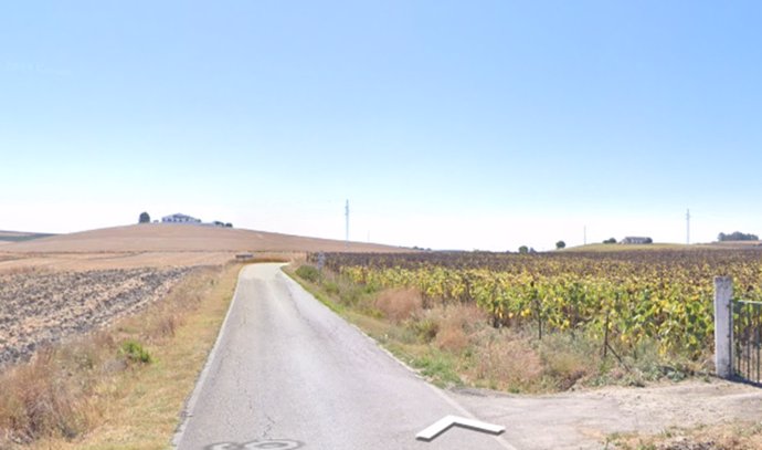 Carretera CA-3102, donde tuvo lugar el accidente de Jerez.