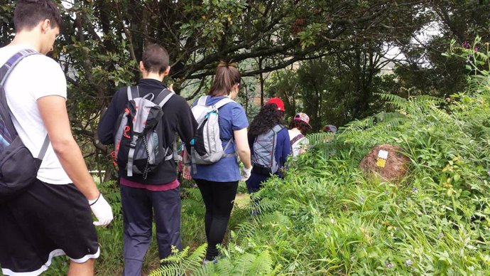 El Cabildo de Tenerife promueve la protección de la naturaleza entre más de 500 escolares con el programa 'Brotes'