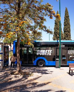 Imagen de recurso de un autobús urbano.