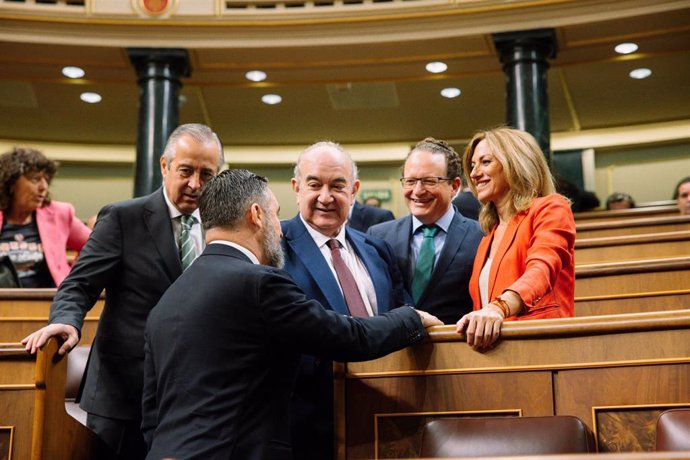 La diputada de Vox por Sevilla, Reyes Romero, en el Congreso de los Diputados.