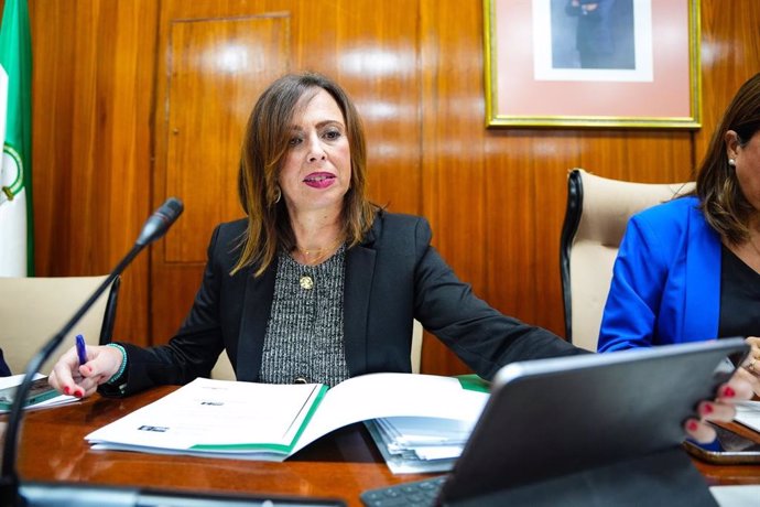 La consejera de Fomento, Rocío Díaz, en la comisión parlamentaria del 28 de octubre de 2024.