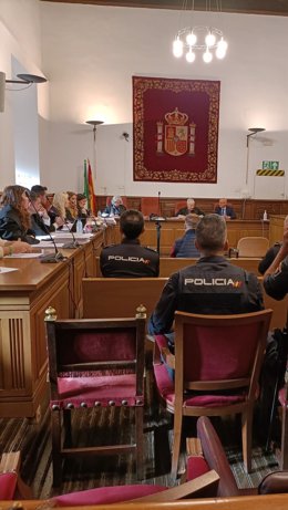 Primera sesión del juicio en la Audiencia de Granada por el crimen de un hombre en Purchil. Archivo.