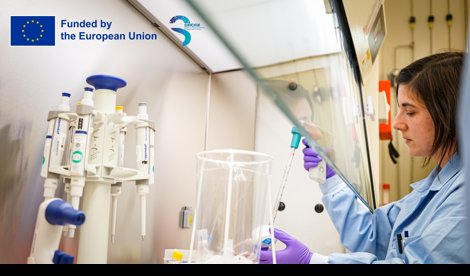 Comunicados Internacional