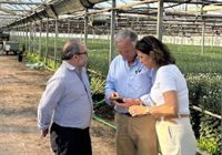 El PP de Sevilla valora el "respaldo" de la Junta a los floricultores con una subvención de 756.000 euros