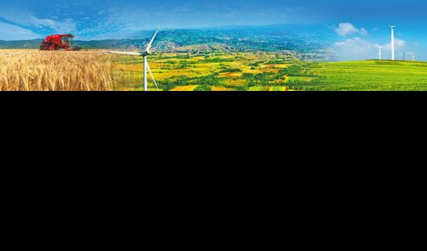 Comunicados Internacional