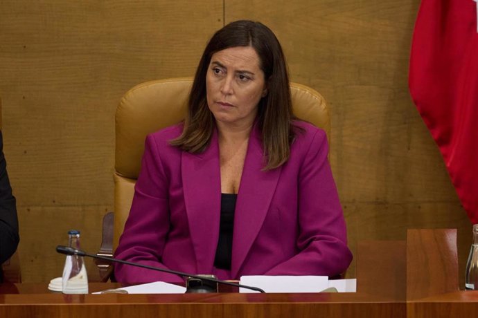 Archivo - La vicepresidenta primera de la Asamblea de Madrid, Ana Millán Arroyo, durante la primera sesión del Debate del Estado de la Región en la Asamblea de Madrid.