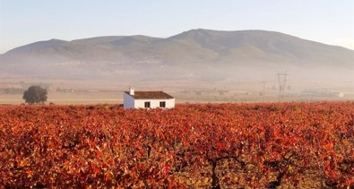 Cambio Climático