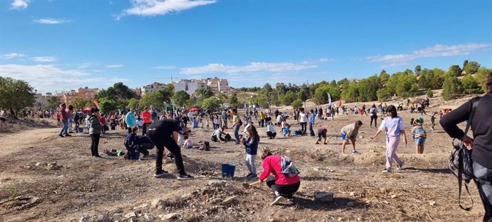 Reforestación de otoño en Villafranqueza, en el término municipal de Alicante.