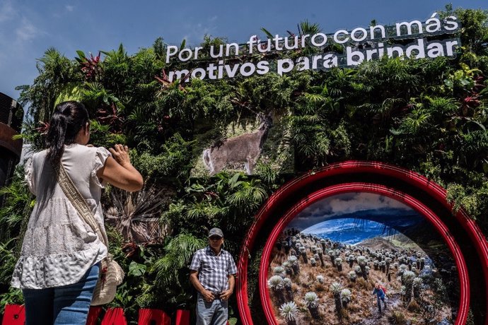 WWF y Greenpeace insisten en que los países desarrollados movilicen dinero para conservar la naturaleza en la COP16.