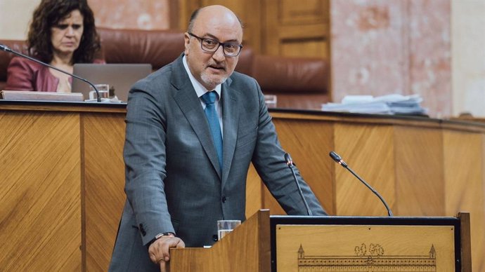 El portavoz adjunto de Vox en el Parlamento andaluz, Ricardo López Olea, en el Parlamento.