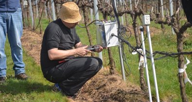 Galicia Rural