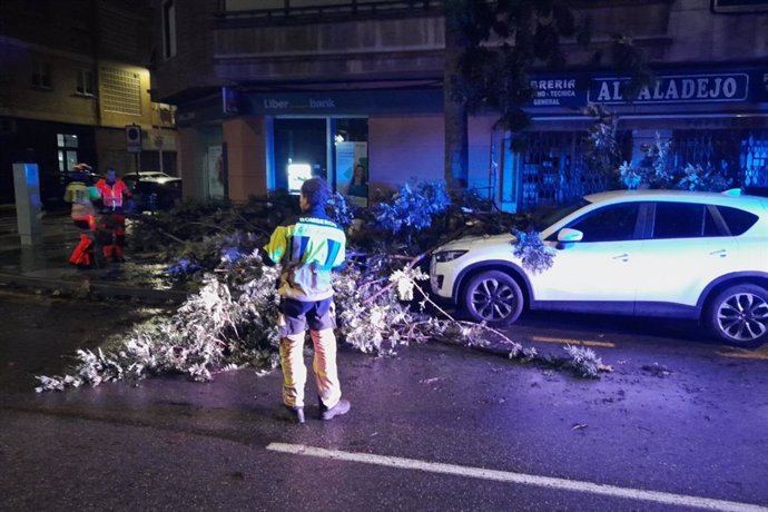 Bomberos retirando ramas de árboles caídas