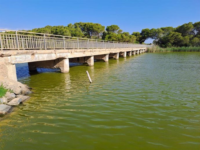 Archivo - Gola de Pujol de la Albufera