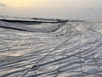 La Junta de Andalucía eleva las precauciones ante el riesgo de inundaciones y activa la fase 1 de emergencia