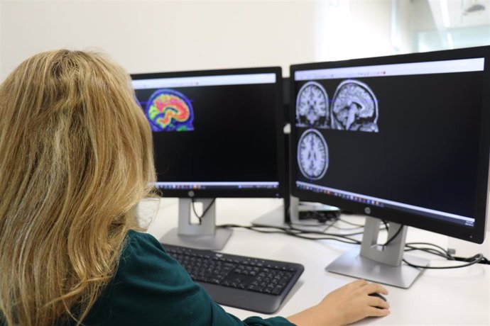 La investigadora Mahnaz Shekari analiza imágenes de un cerebro