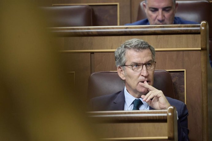 El diputado del PP, Alberto Núñez Feijóo, durante una sesión de control al Gobierno, en el Congreso de los Diputados, a 9 de octubre de 2024, en Madrid (España). 