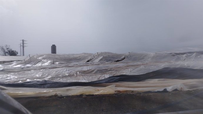 Imagen de un invernadero derrumbado en El Ejido (Almería) con Torre Laguna de fondo.