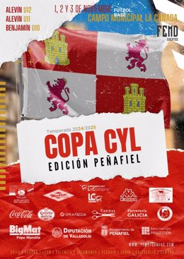 Cartel de la III Copa CyL