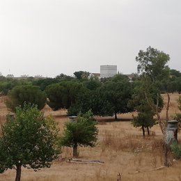 Archivo - Finca del Cortijo del Cuarto, junto al barrio de Bellavista.