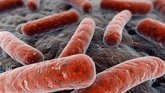 Foto: La OMS advierte de que la tuberculosis vuelve a ser la principal causa infecciosa de muerte en el mundo