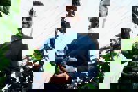 La Junta ayudará "en lo que haga falta" a los agricultores andaluces una vez se evalúen los daños por el temporal