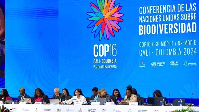 SEO/BirdLife alerta sobre la falta de compromisos de financiación y monitoreo de los objetivos de biodiversidad en COP16.