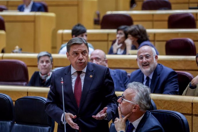 El ministro de Agricultura, Pesca y Alimentación, Luis Planas, interviene durante una sesión de control al Gobierno en el Senado