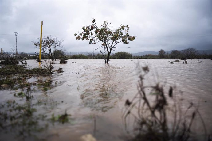 Crecida del río Magre, a 29 de octubre de 2024, en Alfarp, Valencia, Comunidad Valenciana (España). 