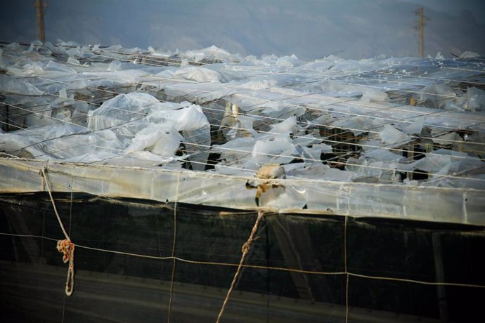 Efectos del temporal en un invernadero en El Ejido. A 29 de octubre de 2024, en El Ejido, Almería (Andalucía, España). 