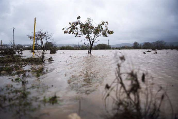 Imatge de les pluges caigudes a la comarca de la Ribera de València