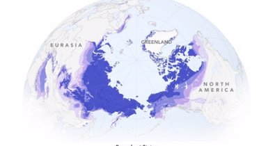 Cambio Climático