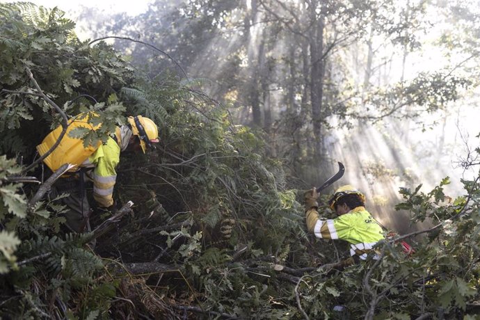 Archivo - Dos bomberos trabajan en el monte, a 17 de septiembre de 2024, en Brañuelas, León, Castilla y León (España). 