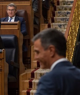 Archivo - El presidente del Partido Popular, Alberto Núñez Feijóo, en una sesión Congreso con el socialista Pedro Sánchez 