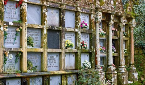 Comunicados Sociedad